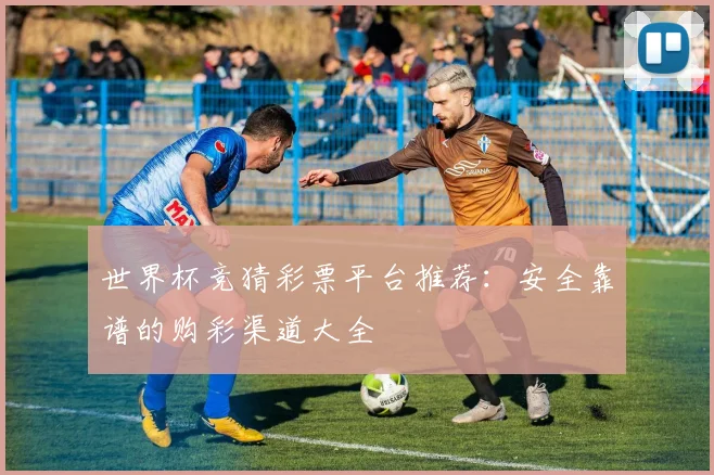 世界杯竞猜彩票平台推荐：安全靠谱的购彩渠道大全