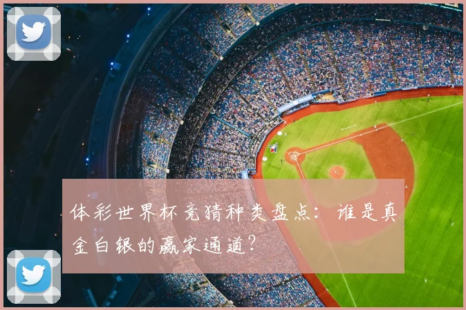 体彩世界杯竞猜种类盘点：谁是真金白银的赢家通道？