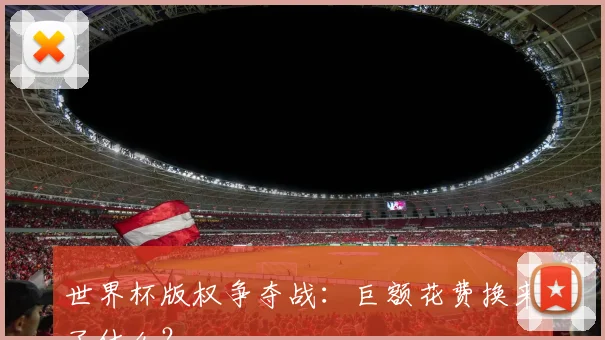 世界杯版权争夺战：巨额花费换来了什么？