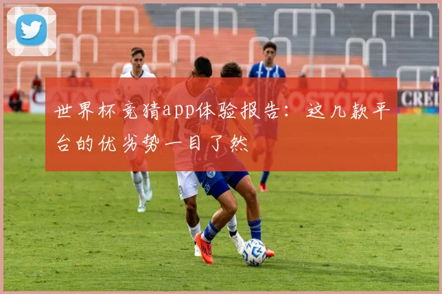 世界杯竞猜app体验报告：这几款平台的优劣势一目了然
