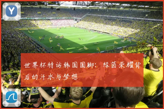 世界杯特访韩国国脚：绿茵荣耀背后的汗水与梦想