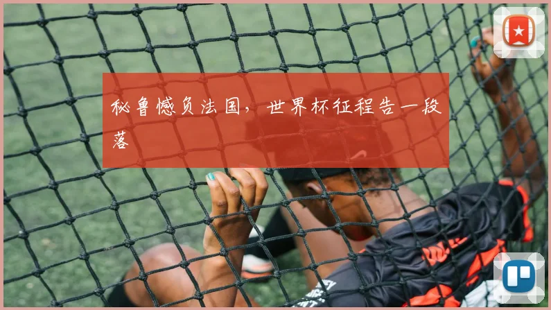 秘鲁憾负法国,世界杯征程告一段落