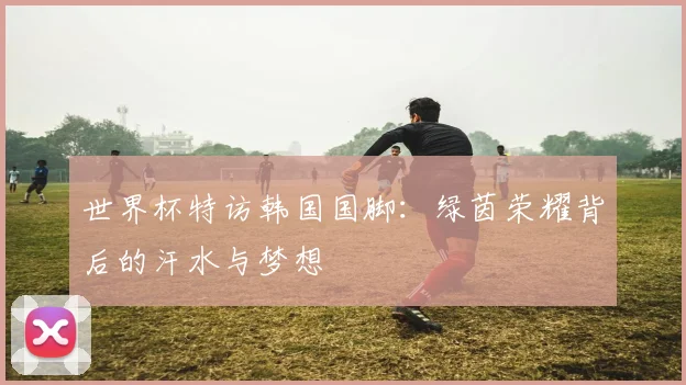 世界杯特访韩国国脚：绿茵荣耀背后的汗水与梦想